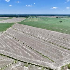 Photo #5 of Off Short Cut Rd, Shawboro, NC 39.3 acres