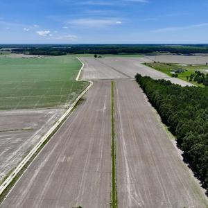 Photo #6 of Off Short Cut Rd, Shawboro, NC 39.3 acres