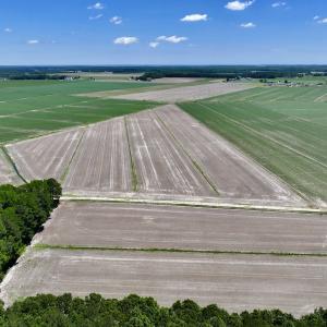 Photo #7 of Off Short Cut Rd, Shawboro, NC 39.3 acres