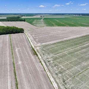 Photo #9 of Off Short Cut Rd, Shawboro, NC 39.3 acres