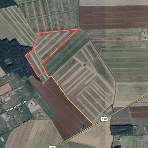 Photo #29 of Off Short Cut Rd, Shawboro, NC 39.3 acres