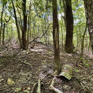 Photo #10 of Off Jeters Chapel Rd, Vinton, VA 150.8 acres