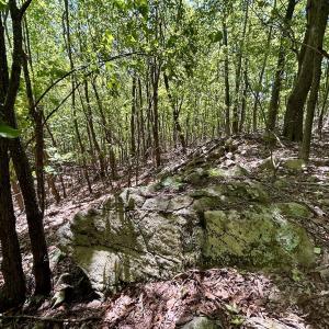 Photo #11 of Off Jeters Chapel Rd, Vinton, VA 150.8 acres