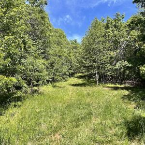 Photo #12 of Off Jeters Chapel Rd, Vinton, VA 150.8 acres