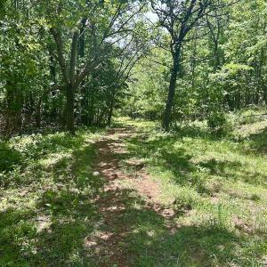 Photo #14 of Off Jeters Chapel Rd, Vinton, VA 150.8 acres