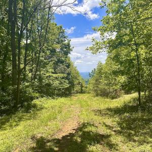 Photo #15 of Off Jeters Chapel Rd, Vinton, VA 150.8 acres