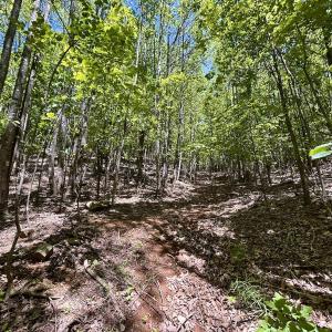 Photo #16 of Off Jeters Chapel Rd, Vinton, VA 150.8 acres