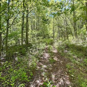 Photo #17 of Off Jeters Chapel Rd, Vinton, VA 150.8 acres
