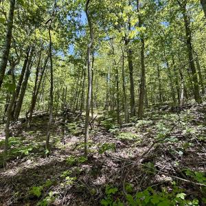 Photo #18 of Off Jeters Chapel Rd, Vinton, VA 150.8 acres
