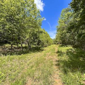 Photo #19 of Off Jeters Chapel Rd, Vinton, VA 150.8 acres