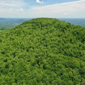 Photo #1 of Off Jeters Chapel Rd, Vinton, VA 150.8 acres