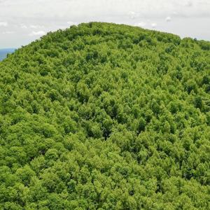 Photo #20 of Off Jeters Chapel Rd, Vinton, VA 150.8 acres