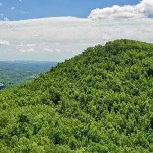 Photo #21 of Off Jeters Chapel Rd, Vinton, VA 150.8 acres