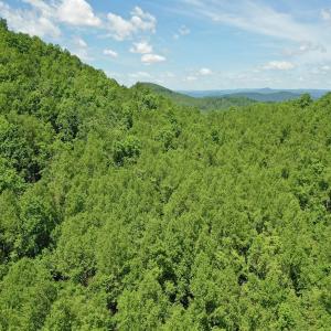 Photo #22 of Off Jeters Chapel Rd, Vinton, VA 150.8 acres