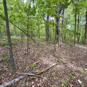 Photo #23 of Off Jeters Chapel Rd, Vinton, VA 150.8 acres