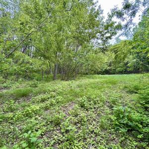 Photo #24 of Off Jeters Chapel Rd, Vinton, VA 150.8 acres