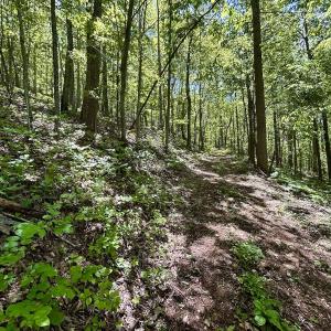 Photo #25 of Off Jeters Chapel Rd, Vinton, VA 150.8 acres