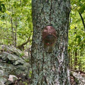 Photo #26 of Off Jeters Chapel Rd, Vinton, VA 150.8 acres