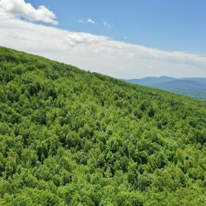 Photo #28 of Off Jeters Chapel Rd, Vinton, VA 150.8 acres