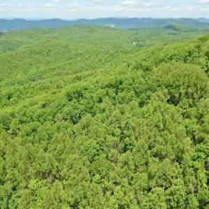 Photo #29 of Off Jeters Chapel Rd, Vinton, VA 150.8 acres