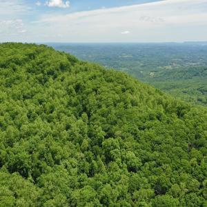 Photo #30 of Off Jeters Chapel Rd, Vinton, VA 150.8 acres