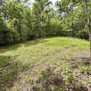 Photo #31 of Off Jeters Chapel Rd, Vinton, VA 150.8 acres
