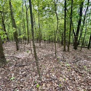 Photo #34 of Off Jeters Chapel Rd, Vinton, VA 150.8 acres