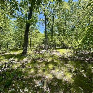 Photo #35 of Off Jeters Chapel Rd, Vinton, VA 150.8 acres