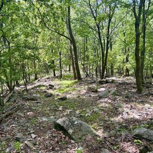 Photo #37 of Off Jeters Chapel Rd, Vinton, VA 150.8 acres