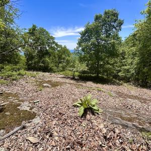 Photo #39 of Off Jeters Chapel Rd, Vinton, VA 150.8 acres