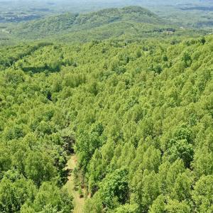 Photo #7 of Off Jeters Chapel Rd, Vinton, VA 150.8 acres