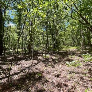 Photo #8 of Off Jeters Chapel Rd, Vinton, VA 150.8 acres