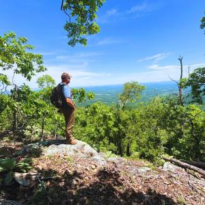 Photo #41 of Off Jeters Chapel Rd, Vinton, VA 150.8 acres