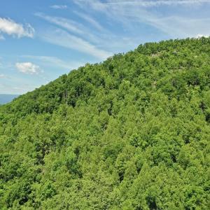 Photo #43 of Off Jeters Chapel Rd, Vinton, VA 150.8 acres