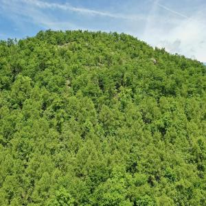 Photo #44 of Off Jeters Chapel Rd, Vinton, VA 150.8 acres