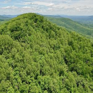 Photo #45 of Off Jeters Chapel Rd, Vinton, VA 150.8 acres