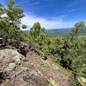 Photo #46 of Off Jeters Chapel Rd, Vinton, VA 150.8 acres