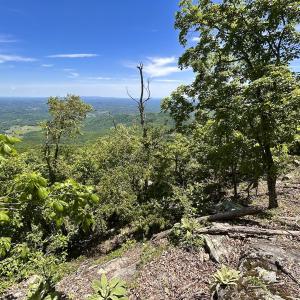 Photo #47 of Off Jeters Chapel Rd, Vinton, VA 150.8 acres