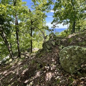 Photo #50 of Off Jeters Chapel Rd, Vinton, VA 150.8 acres