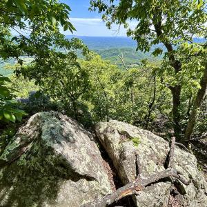 Photo #51 of Off Jeters Chapel Rd, Vinton, VA 150.8 acres