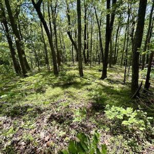 Photo #53 of Off Jeters Chapel Rd, Vinton, VA 150.8 acres