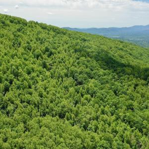 Photo #55 of Off Jeters Chapel Rd, Vinton, VA 150.8 acres