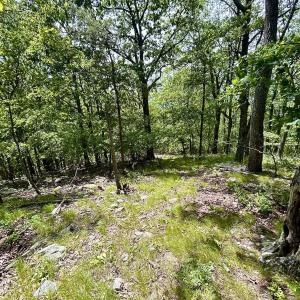 Photo #56 of Off Jeters Chapel Rd, Vinton, VA 150.8 acres