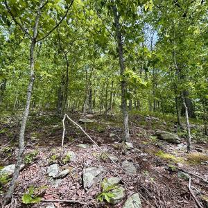 Photo #59 of Off Jeters Chapel Rd, Vinton, VA 150.8 acres
