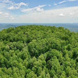Photo #60 of Off Jeters Chapel Rd, Vinton, VA 150.8 acres