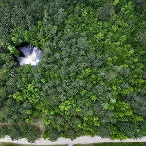 Photo #10 of Off Woodridge Road, Enfield, NC 27.9 acres