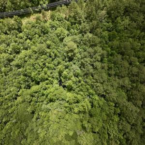 Photo #15 of Off Woodridge Road, Enfield, NC 27.9 acres
