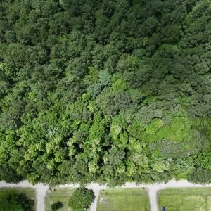 Photo #16 of Off Woodridge Road, Enfield, NC 27.9 acres