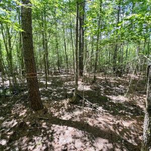 Photo #17 of Off Woodridge Road, Enfield, NC 27.9 acres