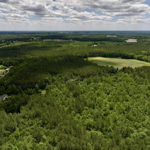 Photo #1 of Off Woodridge Road, Enfield, NC 27.9 acres